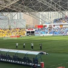 阿森纳2425赛季英超夺冠与欧冠决赛表现分析